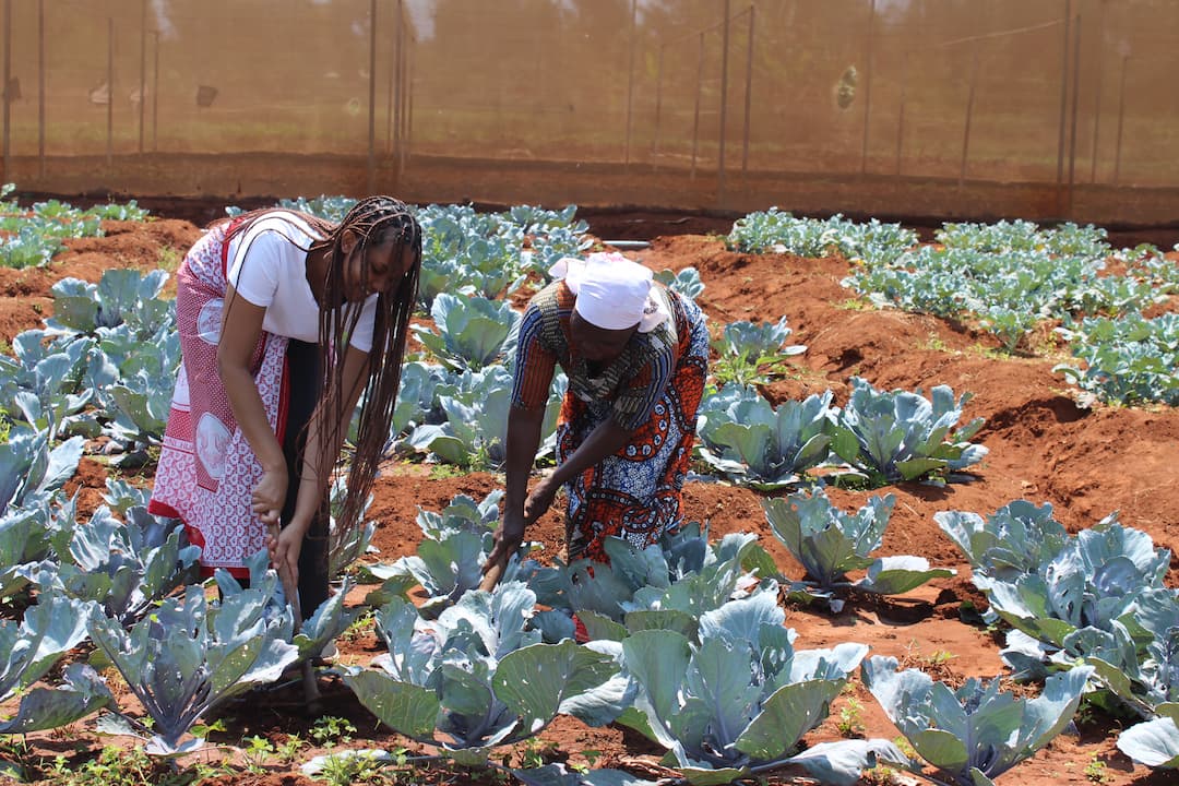 Creating Sustainable Partnerships